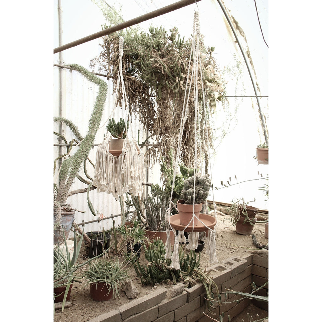 Fringed Plant Hanger